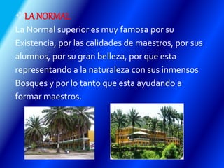 LA NORMAL
La Normal superior es muy famosa por su
Existencia, por las calidades de maestros, por sus
alumnos, por su gran belleza, por que esta
representando a la naturaleza con sus inmensos
Bosques y por lo tanto que esta ayudando a
formar maestros.
 
