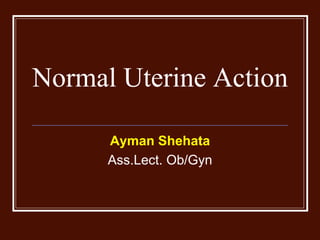 Normal Uterine Action
Ayman Shehata
Ass.Lect. Ob/Gyn
 
