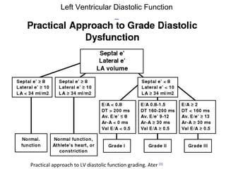 Tte Normal Values Normal values of tte | PPT