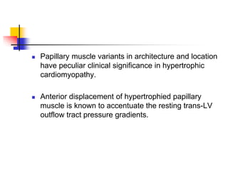  Papillary muscle variants in architecture and location
have peculiar clinical significance in hypertrophic
cardiomyopathy.
 Anterior displacement of hypertrophied papillary
muscle is known to accentuate the resting trans-LV
outflow tract pressure gradients.
 