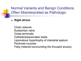 Normal Variants and Benign Conditions
Often Misinterpreted as Pathologic
 Right atrium
Chiari network
Eustachian valve
Crista terminalis
Catheters/pacemaker leads
Lipomatous hypertrophy of interatrial septum
Pectinate muscles
Fatty material (surrounding the tricuspid anulus)
 