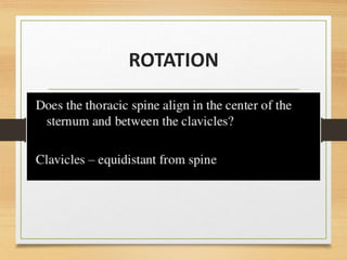 Normal chest x ray | PPTX
