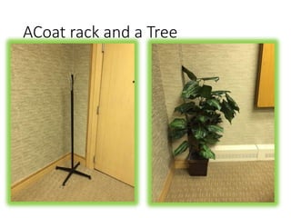 A C O A T R A C K A N D A T R E E
 