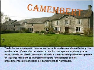 CAMEMBERT Yendo hacia este pequeño paraíso, encontrarás una Normandía auténtica y con mucho sabor. ¡Camembert es de estos pueblos que apetece explorar y sacar fotos como la del cártel Camembert situado a la entrada del pueblo! Una parada en la granja Président es imprescindible para familiarizarse con los procedimientos de fabricación del Camembert de Normandía. 