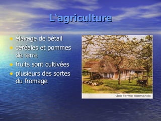 L‘agriculture élevage de bétail céréales et pommes de terre fruits sont cultivées plusieurs des sortes du fromage 