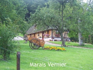 Marais Vernier