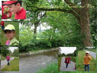 Chemin de halage : Condé-sur-Vire 