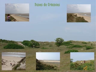 Dunes de Créances 