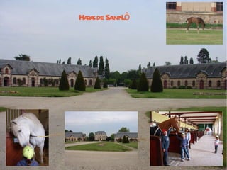 Haras de Saint-Lô 