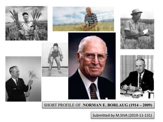 SHORT PROFILE OF NORMAN E. BORLAUG (1914 – 2009)
Submitted by M.SIVA (2019-11-131)
 