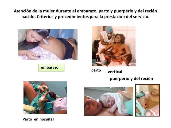 Norma Oficial Mexicana Nom 007 Ssa2 1993