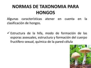 NORMAS DE TAXONOMIA PARA
HONGOS
Algunas características atener en cuenta en la
clasificación de hongos.
 Estructura de la hifa, modo de formación de las
esporas asexuales, estructura y formación del cuerpo
fructífero sexual, química de la pared célula
 
