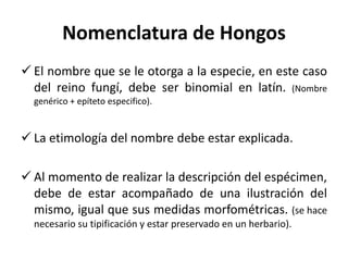 Nomenclatura de Hongos
 El nombre que se le otorga a la especie, en este caso
del reino fungí, debe ser binomial en latín. (Nombre
genérico + epíteto especifico).
 La etimología del nombre debe estar explicada.
 Al momento de realizar la descripción del espécimen,
debe de estar acompañado de una ilustración del
mismo, igual que sus medidas morfométricas. (se hace
necesario su tipificación y estar preservado en un herbario).
 