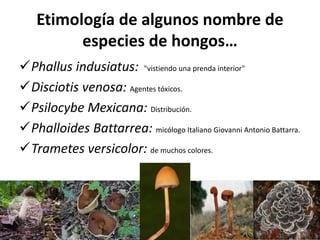 Etimología de algunos nombre de
especies de hongos…
Phallus indusiatus: "vistiendo una prenda interior"
Disciotis venosa: Agentes tóxicos.
Psilocybe Mexicana: Distribución.
Phalloides Battarrea: micólogo Italiano Giovanni Antonio Battarra.
Trametes versicolor: de muchos colores.
 