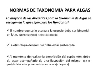 NORMAS DE TAXONOMIA PARA ALGAS
La mayoría de las directrices para la taxonomía de Algas se
recogen en la que rigen para los Hongos así:
El nombre que se le otorga a la especie debe ser binomial
en latín. (Nombre genérico + epíteto especifico)
La etimología del nombre debe estar sustentada.
Al momento de realizar la descripción del espécimen, debe
de estar acompañado de una ilustración del mismo (en lo
posible debe estar preservado en un montaje de placa)
 