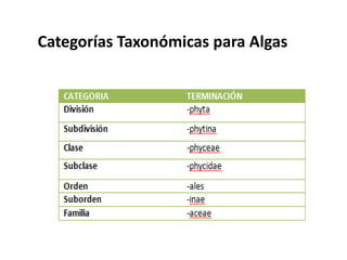 Categorías Taxonómicas para Algas
 