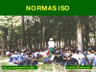 NORMAS ISO lu_caspe  yahoo.com Ing. Luz Castañeda Pérez, MSc. 
