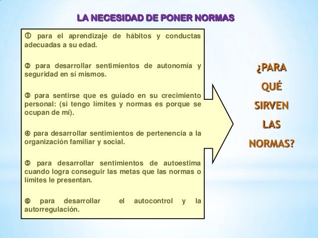 Normas ylimitesppt