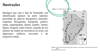 Ilustrações
Qualquer que seja o tipo de ilustração, sua
identificação aparece na parte superior,
precedida da palavra designativa (desenho,
esquema, fluxograma, fotografia, gráfico,
mapa, organograma, planta, quadro, retrato,
figura, imagem, entre outros), seguida de seu
número de ordem de ocorrência no texto, em
algarismos arábicos, travessão e do
respectivo título.
 
