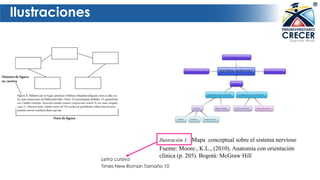 Ilustraciones
Ilustración 1: Mapa conceptual sobre el sistema nervioso
Fuente: Moore., K.L., (2010). Anatomía con orientación
clínica (p. 205). Bogotá: McGraw Hill
Times New Roman Tamaño 10
Letra cursiva
 