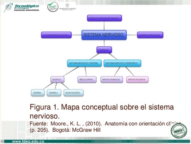 Normas APA socializacion2