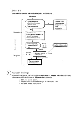 Gráfico Nº 3
Evalúe respiraciones, frecuencia cardiaca y coloración.
Respiración (Breathing):
Suministrar oxigeno al 100% a través de ventilación a presión positiva con bolsa y
máscara de reanimación durante 30 segundos hasta que:
o El recién nacido respire.
o La frecuencia cardiaca sea mayor de 100 latidos x min.
o El recién nacido este rosado
B
 