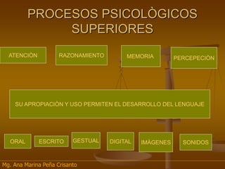 PROCESOS PSICOLÒGICOS
SUPERIORES
SU APROPIACIÒN Y USO PERMITEN EL DESARROLLO DEL LENGUAJE
ATENCIÒN RAZONAMIENTO MEMORIA PERCEPECIÒN
ORAL ESCRITO GESTUAL DIGITAL IMÀGENES SONIDOS
Mg. Ana Marina Peña Crisanto
 