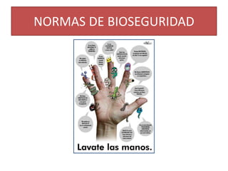 NORMAS DE BIOSEGURIDAD
 