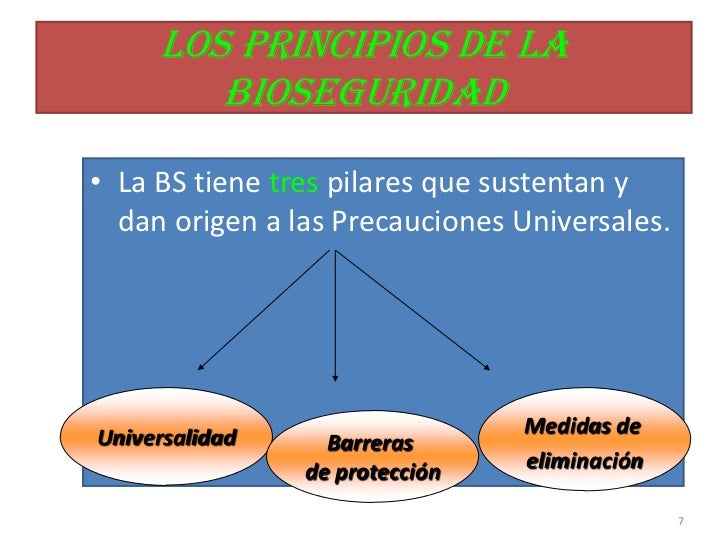 Cuales Son Los Principios Universales De La Bioseguridad es.slideshare.net