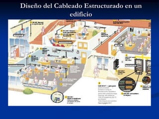 Normas de cableado estructurado... | PPTX