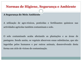 Normas de Higiene, Segurança e Ambiente
A Segurança do Meio Ambiente
A utilização de agro-tóxicos, pesticidas e fertilizantes químicos nas
actividades agrícolas também contaminam o solo.
O solo contaminado acaba afectando as plantações e as áreas de
pastagens. Sendo assim, os vegetais absorvem essas substâncias, que são
ingeridas pelos humanos e por outros animais, desenvolvendo desta
forma um ciclo de vicioso de contaminação.
 