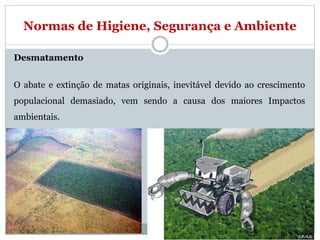 Normas de Higiene, Segurança e Ambiente
Desmatamento
O abate e extinção de matas originais, inevitável devido ao crescimento
populacional demasiado, vem sendo a causa dos maiores Impactos
ambientais.
 