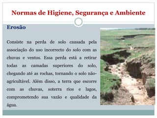 Normas de Higiene, Segurança e Ambiente
Erosão
Consiste na perda de solo causada pela
associação do uso incorrecto do solo com as
chuvas e ventos. Essa perda está a retirar
todas as camadas superiores do solo,
chegando até as rochas, tornando o solo não-
agricultável. Além disso, a terra que escorre
com as chuvas, soterra rios e lagos,
comprometendo sua vazão e qualidade da
água.
 
