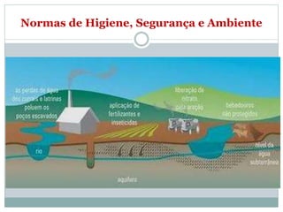Normas de Higiene, Segurança e Ambiente
 