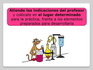 Atiende las indicaciones del profesor
y colócate en el lugar determinado
para la práctica, frente a los elementos
preparados para desarrollarla
 