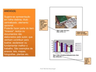 ANEXO(S)Sugere-se apresentação em folha distinta, título centralizado, elemento opcional.Poderão fazer parte do item "Anexos", textos ou documentos não elaborados pelo autor, que venham contribuir para ilustrar, esclarecer ou fundamentar melhor o trabalho. São exemplos de anexos: leis, mapas, fotografias, plantas etc.Prof. Michele Boulanger