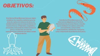 OBJETIVOS:
Esta Norma Oficial Mexicana tiene por objeto
establecer los requisitos sanitarios para: las
áreas de captura de moluscos bivalvos; los
establecimientos que procesan productos de
la pesca frescos, refrigerados, congelados y
procesados, incluyendo las embarcaciones de
pesca y recolección, así como las
especificaciones sanitarias que deben cumplir
dichos productos.
Esta Norma Oficial Mexicana es de
observancia obligatoria en el Territorio
Nacional para las personas físicas o morales
que se dediquen a la captura, extracción,
procesamiento, conservación,
almacenamiento, distribución, transporte,
venta o importación de productos de la pesca.
 