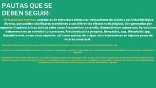 PAUTAS QUE SE
DEBEN SEGUIR:
10.Biotoxinas marinas: sustancias de estructura molecular, mecanismos de acción y actividad biológica
diversa, que pueden clasificarse atendiendo a sus diferentes efectos toxicológicos. Son generadas por
especies fitoplanctónicas tóxicas tales como Alexandrium catenella, Gymnodinium catenatum, Pyrodinium
bahamense en su variedad compressum, Pseudonitzschia pungens, Gonyaulax, spp, Dinophysis spp,
Karenia brevis, entre otras especies, así como toxinas de origen natural presentes en algunos peces de
interés comercial.
Alexandrium que producen toxinas que causan envenenamiento paralizante por mariscos y es una de las causas de la marea roja.
A lo largo de la costa del Pacífico mexicano, G. catenatum es una especie conspicua y responsable de la formación de florecimientos algales nocivos en áreas como bahía de
Mazatlán
El fitoplancton marino está compuesto por una amplia variedad de especies de microalgas, entre las que se encuentran aquéllas que forman florecimientos algales nocivos ,
Algunas son productoras de toxinas que provocan intoxicaciones humanas, cuyos síntomas son principalmente neurológicos y gastrointestinales. De éstos, los principales
corresponden a la intoxicación paralizante, amnésica, diarreica, neurotóxica y ciguatera.
 