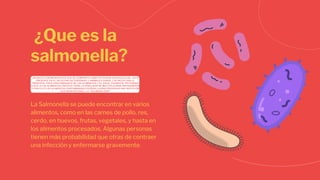 ¿Que es la
salmonella?
La Salmonella se puede encontrar en varios
alimentos, como en las carnes de pollo, res,
cerdo, en huevos, frutas, vegetales, y hasta en
los alimentos procesados. Algunas personas
tienen más probabilidad que otras de contraer
una infección y enfermarse gravemente.
UN BACILO GRAM NEGATIVO QUE SE COMPORTA COMO PATÓGENO INTRACELULAR , ESTÁ
PRESENTE EN EL INTESTINO DE PERSONAS Y ANIMALES SANOS. LAS HECES SON EL
PRINCIPAL FOCO CONTAMINANTE DE LOS ALIMENTOS Y EL AGUA; CUANDO EL PATÓGENO
LLEGA A LOS ALIMENTOS FRESCOS TIENE LA HABILIDAD DE MULTIPLICARSE RÁPIDAMENTE
Y POR ELLO LOS ALIMENTOS CONTAMINADOS PUEDEN LLEGAR PROVOCAR UNA INFECCIÓN
GASTROINTESTINAL, LA "SALMONELOSIS"
 