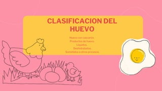 CLASIFICACION DEL
HUEVO
Huevo con cascarón.
Productos de huevo.
Líquidos.
Deshidratados.
Sometidos a otros procesos.
 