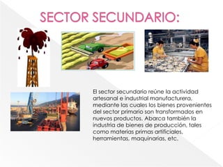 El sector secundario reúne la actividad
artesanal e industrial manufacturera,
mediante las cuales los bienes provenientes
del sector primario son transformados en
nuevos productos. Abarca también la
industria de bienes de producción, tales
como materias primas artificiales,
herramientas, maquinarias, etc.
 