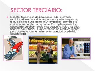  El sector terciario se dedica, sobre todo, a ofrecer
servicios a la sociedad, a las personas y a las empresas,
lo cual significa una gama muy amplia de actividades
que está en constante aumento. Esta heterogeneidad
abarca desde el comercio mas pequeño, hasta las altas
finanzas o el Estado. Es un sector que no produce bienes,
pero que es fundamental en una sociedad capitalista
desarrollada.
 