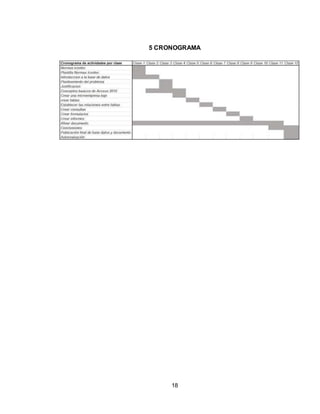 18
5 CRONOGRAMA
 