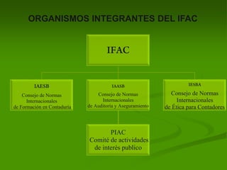 Consejo de Normas
Internacionales
de Formación en Contaduría
Consejo de Normas
Internacionales
de Auditoría y Aseguramiento
PIAC
Comité de actividades
de interés publico
Consejo de Normas
Internacionales
de Ética para Contadores
ORGANISMOS INTEGRANTES DEL IFAC
 