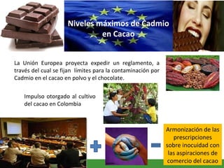 26GD-FM-016 V4
Niveles máximos de Cadmio
en Cacao
La Unión Europea proyecta expedir un reglamento, a
través del cual se fijan límites para la contaminación por
Cadmio en el cacao en polvo y el chocolate.
Impulso otorgado al cultivo
del cacao en Colombia
Armonización de las
prescripciones
sobre inocuidad con
las aspiraciones de
comercio del cacao
 