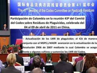 Participación de Colombia en la reunión 43º del Comité
del Codex sobre Residuos de Plaguicidas, celebrada del
04 al 09 de abril de 2011 en China.
-- Actualización de los LMR de plaguicidas: el ICA de manera
conjunta con el MSPS y MADR avanzaron en la actualización de la
Resolución 2906 de 2007 mediante la cual Colombia se acoge
frente a algunos cultivos y sustancias los LMR del Codex.
 