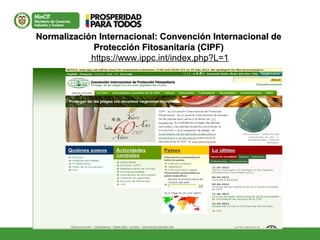 Normalización Internacional: Convención Internacional deNormalización Internacional: Convención Internacional de
Protección Fitosanitaria (CIPF)Protección Fitosanitaria (CIPF)
https://www.ippc.int/index.php?L=1
 