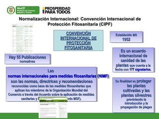 Normalización Internacional: Convención Internacional deNormalización Internacional: Convención Internacional de
Protección Fitosanitaria (CIPF)Protección Fitosanitaria (CIPF)
CONVENCIÓNCONVENCIÓN
INTERNACIONAL DEINTERNACIONAL DE
PROTECCIÓNPROTECCIÓN
FITOSANITARIAFITOSANITARIA
Hay 55 PublicacionesHay 55 Publicaciones
normativasnormativas
Hay 55 PublicacionesHay 55 Publicaciones
normativasnormativas
LasLas
normas internacionales para medidas fitosanitarias (NIMF)normas internacionales para medidas fitosanitarias (NIMF)
son las normas, directrices y recomendacionesson las normas, directrices y recomendaciones
reconocidas como base de las medidas fitosanitarias quereconocidas como base de las medidas fitosanitarias que
aplican los miembros de la Organización Mundial delaplican los miembros de la Organización Mundial del
Comercio a través del Acuerdo sobre la aplicación de medidasComercio a través del Acuerdo sobre la aplicación de medidas
sanitarias y fitosanitarias (el Acuerdo MSF).sanitarias y fitosanitarias (el Acuerdo MSF).
LasLas
normas internacionales para medidas fitosanitarias (NIMF)normas internacionales para medidas fitosanitarias (NIMF)
son las normas, directrices y recomendacionesson las normas, directrices y recomendaciones
reconocidas como base de las medidas fitosanitarias quereconocidas como base de las medidas fitosanitarias que
aplican los miembros de la Organización Mundial delaplican los miembros de la Organización Mundial del
Comercio a través del Acuerdo sobre la aplicación de medidasComercio a través del Acuerdo sobre la aplicación de medidas
sanitarias y fitosanitarias (el Acuerdo MSF).sanitarias y fitosanitarias (el Acuerdo MSF).
Es un acuerdoEs un acuerdo
internacional deinternacional de
sanidad de lassanidad de las
plantasplantas que cuenta a laque cuenta a la
fecha confecha con 177 signatarios177 signatarios..
Es un acuerdoEs un acuerdo
internacional deinternacional de
sanidad de lassanidad de las
plantasplantas que cuenta a laque cuenta a la
fecha confecha con 177 signatarios177 signatarios..
EstablecidoEstablecido enen
19521952
EstablecidoEstablecido enen
19521952
Su finalidad esSu finalidad es protegerproteger
las plantaslas plantas
cultivadas y lascultivadas y las
plantas silvestresplantas silvestres
previniendo lapreviniendo la
introducción y laintroducción y la
propagación de plagaspropagación de plagas
Su finalidad esSu finalidad es protegerproteger
las plantaslas plantas
cultivadas y lascultivadas y las
plantas silvestresplantas silvestres
previniendo lapreviniendo la
introducción y laintroducción y la
propagación de plagaspropagación de plagas
 