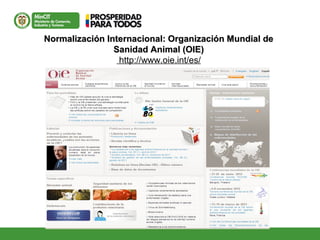 Normalización Internacional: Organización Mundial deNormalización Internacional: Organización Mundial de
Sanidad Animal (OIE)Sanidad Animal (OIE)
http://www.oie.int/es/
 