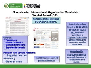 Normalización Internacional: Organización Mundial deNormalización Internacional: Organización Mundial de
Sanidad Animal (OIE).Sanidad Animal (OIE).
ORGANIZACIÓN MUNDIALORGANIZACIÓN MUNDIAL
DE SANIDAD ANIMALDE SANIDAD ANIMAL
OrganizaciónOrganización
intergubernamentalintergubernamental
encargada de mejorar laencargada de mejorar la
sanidad animal en elsanidad animal en el
mundo.mundo.
OrganizaciónOrganización
intergubernamentalintergubernamental
encargada de mejorar laencargada de mejorar la
sanidad animal en elsanidad animal en el
mundo.mundo.
Acuerdo internacionalAcuerdo internacional
firmado elfirmado el 25 de Enero25 de Enero
de 1924de 1924.. En mayo deEn mayo de
20032003 la Oficina sela Oficina se
convirtió en laconvirtió en la
Organización Mundial deOrganización Mundial de
Sanidad AnimSanidad Animal, peroal, pero
conserva su acrónimoconserva su acrónimo
histórico OIE.histórico OIE.
Acuerdo internacionalAcuerdo internacional
firmado elfirmado el 25 de Enero25 de Enero
de 1924de 1924.. En mayo deEn mayo de
20032003 la Oficina sela Oficina se
convirtió en laconvirtió en la
Organización Mundial deOrganización Mundial de
Sanidad AnimSanidad Animal, peroal, pero
conserva su acrónimoconserva su acrónimo
histórico OIE.histórico OIE.
Objetivos:Objetivos:
 TransparenciaTransparencia
 Información científicaInformación científica
 Solidaridad internacionalSolidaridad internacional
 Seguridad sanitariaSeguridad sanitaria

Promoción de los Servicios VeterinariosPromoción de los Servicios Veterinarios
 Seguridad de losSeguridad de los
alimentos yalimentos y
Bienestar animalBienestar animal
Objetivos:Objetivos:
 TransparenciaTransparencia
 Información científicaInformación científica
 Solidaridad internacionalSolidaridad internacional
 Seguridad sanitariaSeguridad sanitaria

Promoción de los Servicios VeterinariosPromoción de los Servicios Veterinarios
 Seguridad de losSeguridad de los
alimentos yalimentos y
Bienestar animalBienestar animal
En el 2011 contaba conEn el 2011 contaba con 178178
países miembrospaíses miembros
En el 2011 contaba conEn el 2011 contaba con 178178
países miembrospaíses miembros
 